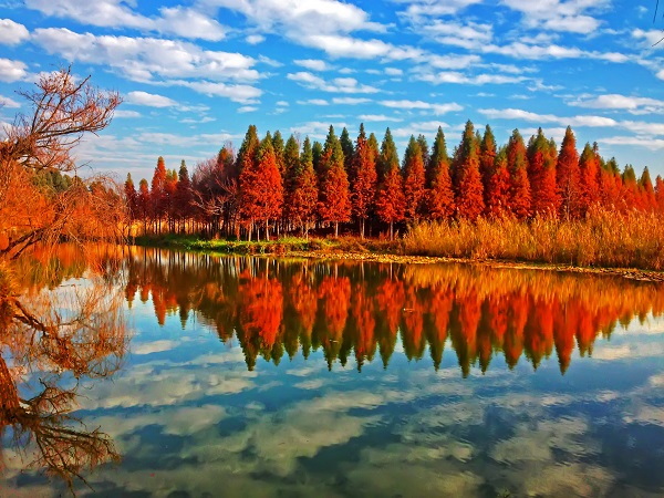 原圖1(跟著鏡頭品詩詞-色彩+云南省昆明市五華區紀委監委).jpg 原圖1(跟著鏡頭品詩詞-色彩+云南省昆明市五華區紀委監委).jpg