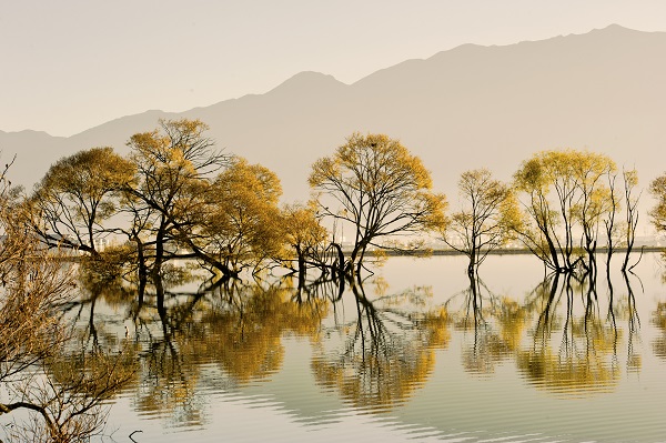 2鶴慶.jpg 2鶴慶.jpg