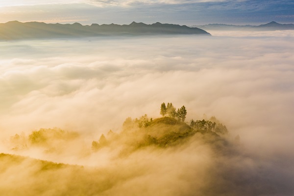 1鎮雄.jpg 1鎮雄.jpg