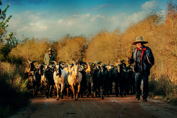 2晉寧.jpg 2晉寧.jpg