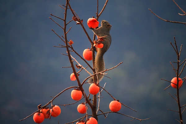 10牟定.jpg 10牟定.jpg