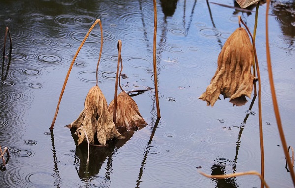 5五華區.jpg 5五華區.jpg