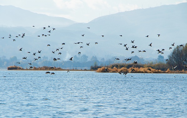 7劍川.jpg 7劍川.jpg