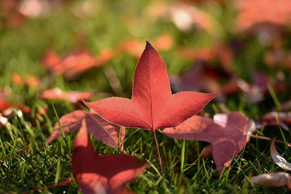 9水富.jpg 9水富.jpg