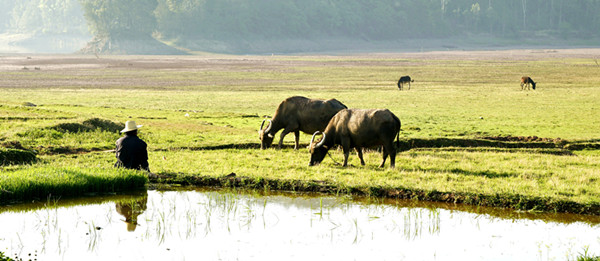 6_副本.jpg 6_副本.jpg