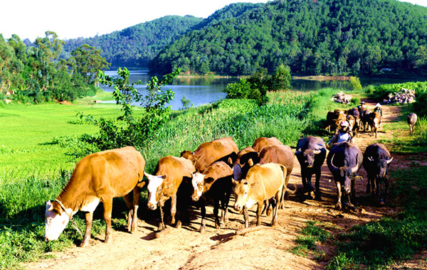 4_副本.jpg 4_副本.jpg