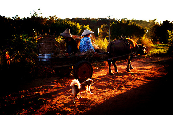 1_副本.jpg 1_副本.jpg