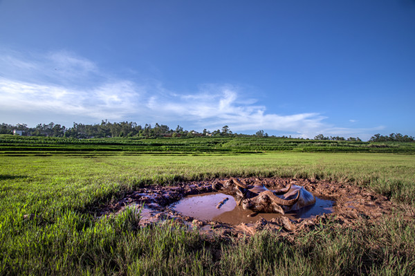 5_副本.jpg 5_副本.jpg