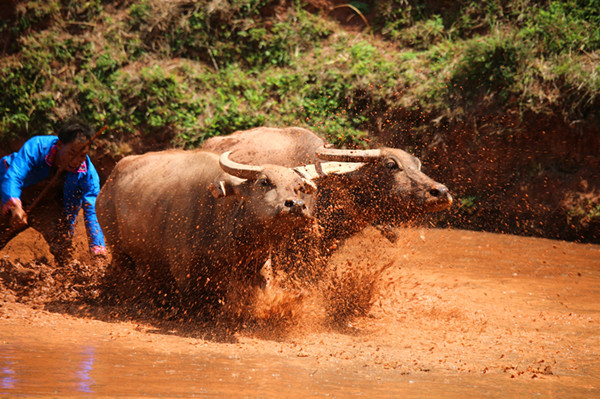 7_副本.jpg 7_副本.jpg