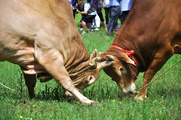 2_副本.jpg 2_副本.jpg