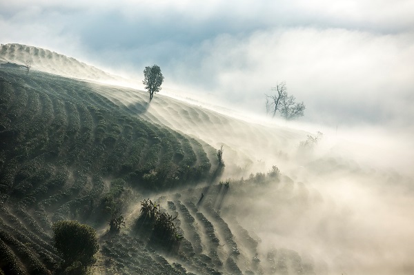 8景谷.jpg 8景谷.jpg