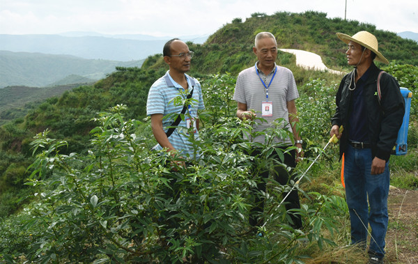 4_副本.jpg 4_副本.jpg