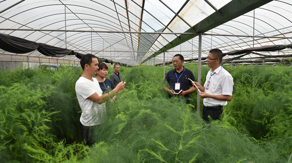 7_副本.jpg 7_副本.jpg