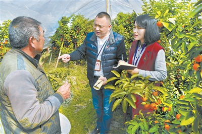 res01_attpic_brief (1).jpg res01_attpic_brief (1).jpg