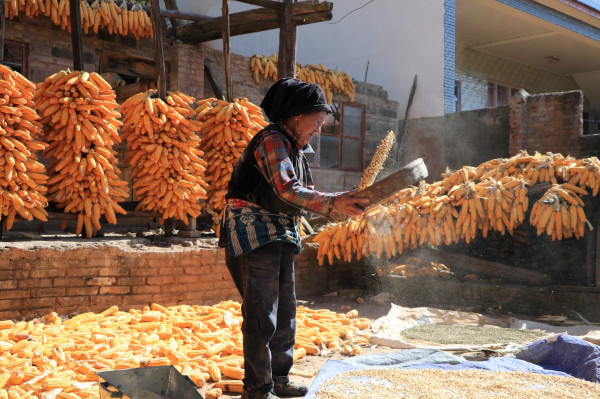 10_副本.jpg 10_副本.jpg