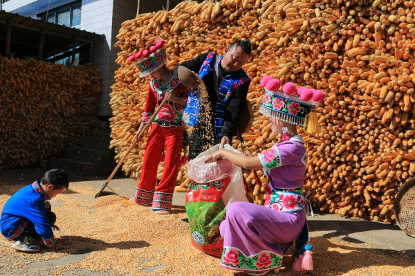 11_副本.jpg 11_副本.jpg