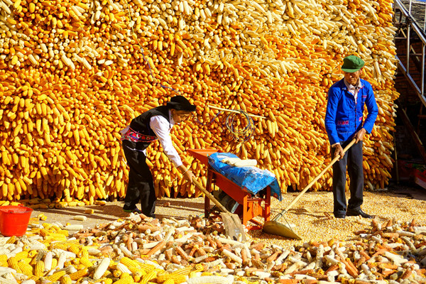 7_副本.jpg 7_副本.jpg