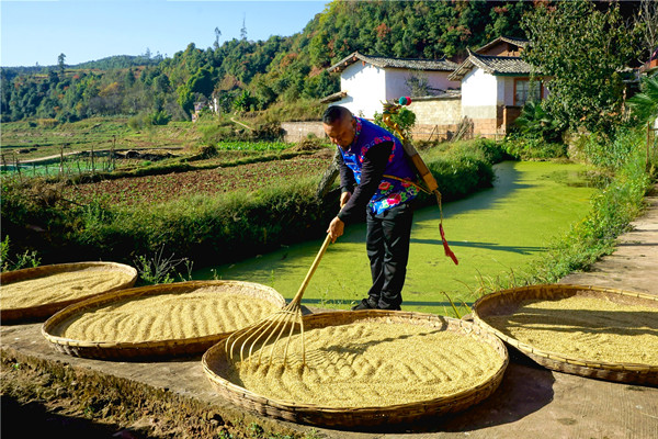 6_副本.jpg 6_副本.jpg