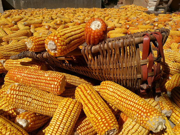 4_副本.jpg 4_副本.jpg