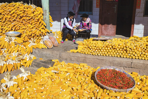 5_副本.jpg 5_副本.jpg