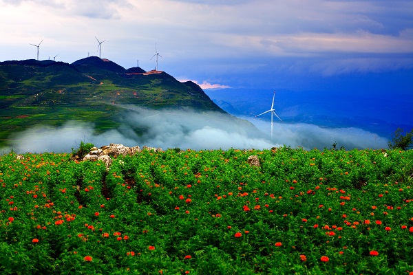 曲靖宣威.jpg 曲靖宣威.jpg