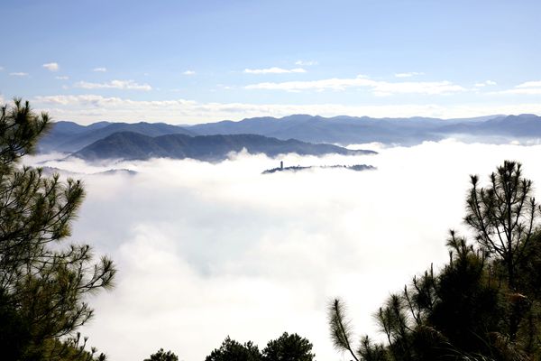 圖五.jpg 圖五.jpg