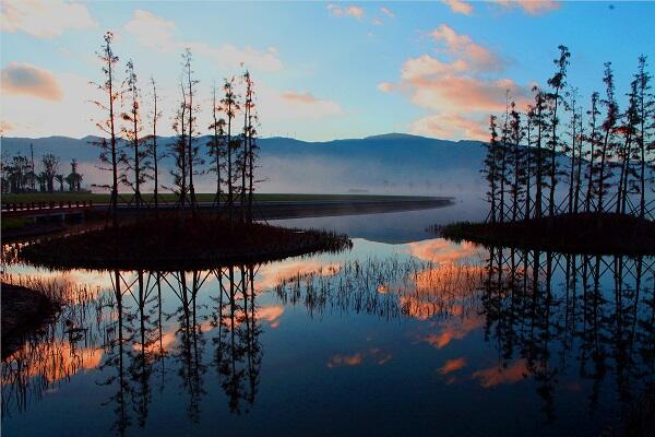 TIM截圖20191224145433.jpg TIM截圖20191224145433.jpg