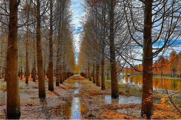 TIM截圖20191227145831.jpg TIM截圖20191227145831.jpg