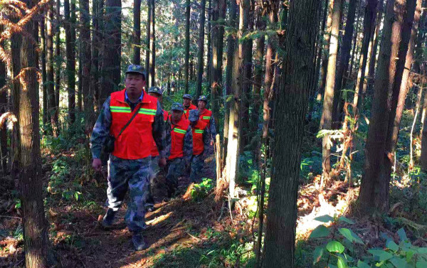 林區巡護巡邏.jpg 林區巡護巡邏.jpg