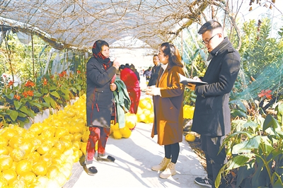 res01_attpic_brief.jpg res01_attpic_brief.jpg