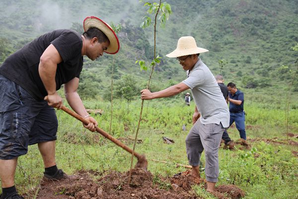 圖十.jpg 圖十.jpg