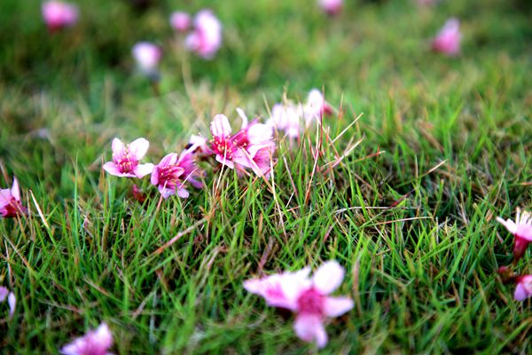 圖十.jpg 圖十.jpg