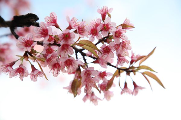 圖四.jpg 圖四.jpg