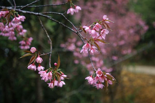 圖五.jpg 圖五.jpg