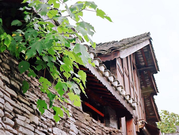 保山.jpg 保山.jpg