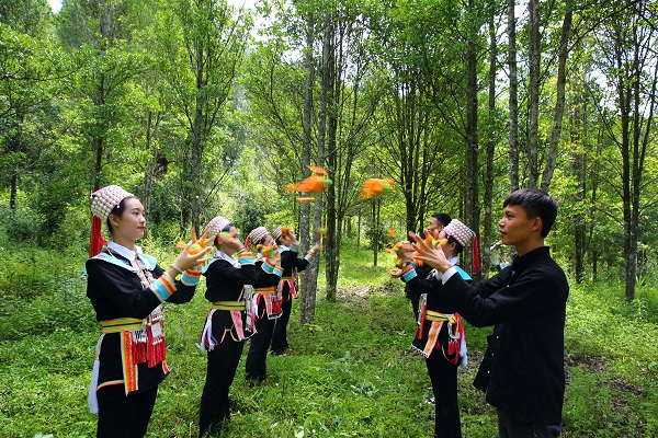 文山富寧.jpg 文山富寧.jpg