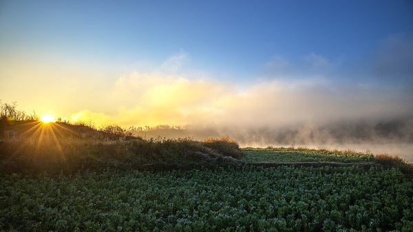 9牟定.jpg 9牟定.jpg