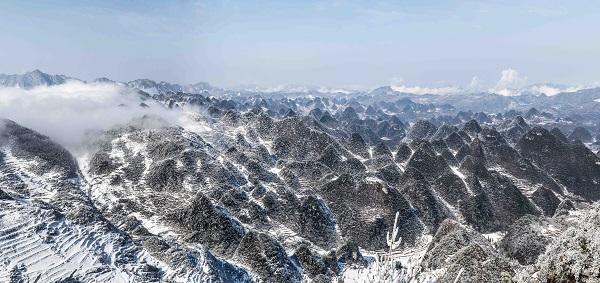 1鎮雄.jpg 1鎮雄.jpg