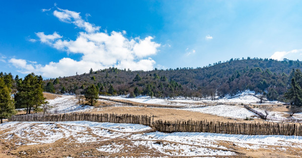 DSC_0790.jpg DSC_0790.jpg