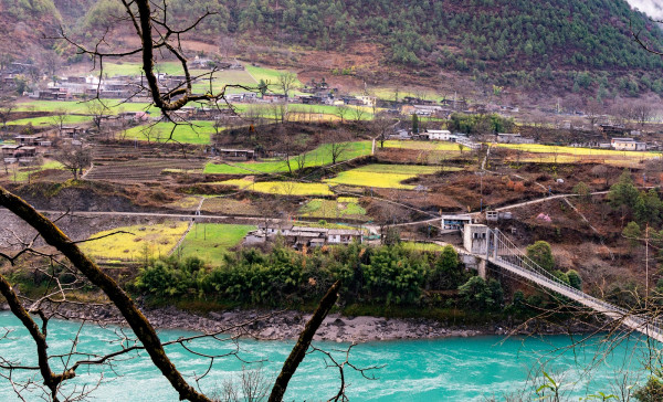 DSC_3335.jpg DSC_3335.jpg