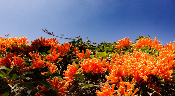 DSC_3707_副本.jpg DSC_3707_副本.jpg