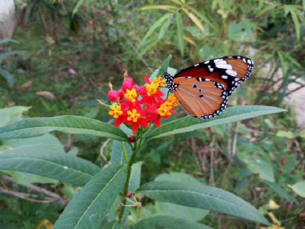 1581679556.jpg 1581679556.jpg