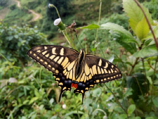 1581682427.jpg 1581682427.jpg