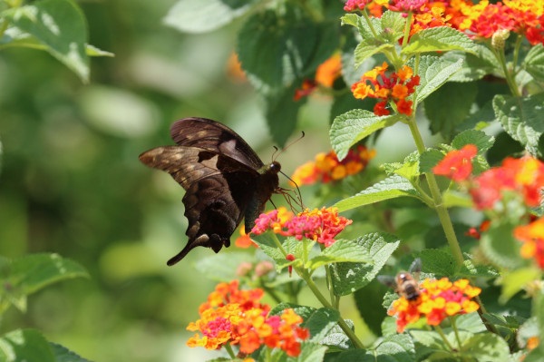 1581683321.jpg 1581683321.jpg