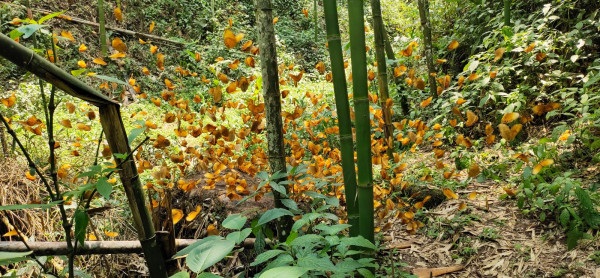 1581681274.jpg 1581681274.jpg