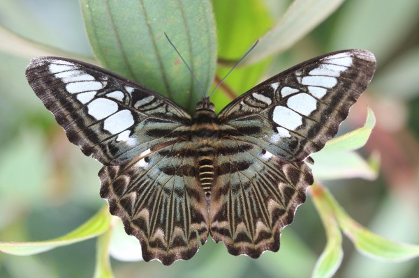 1581680750.jpg 1581680750.jpg