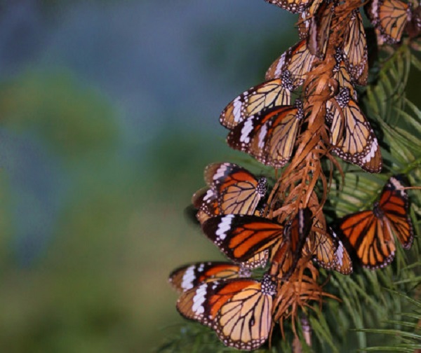 1581677324.jpg 1581677324.jpg