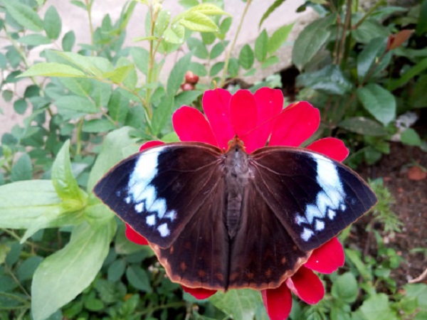 1581684141.jpg 1581684141.jpg