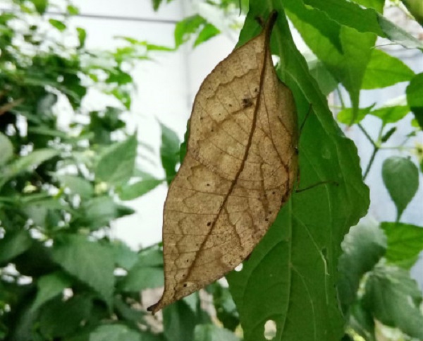 1581679224.jpg 1581679224.jpg