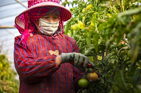 楚雄牟定.jpg 楚雄牟定.jpg